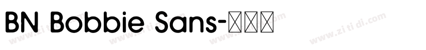 BN Bobbie Sans字体转换